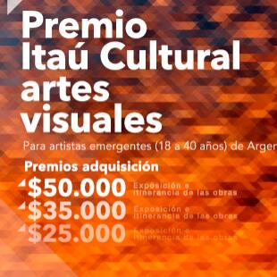 Premio Itaú Cultural Artes Visuales 2014-15