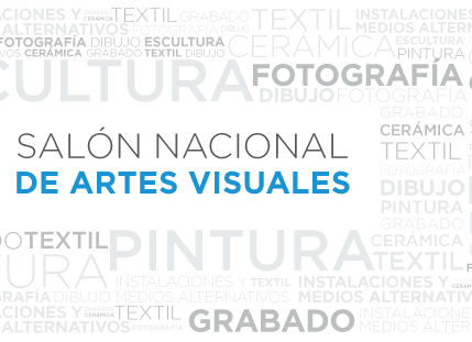  Salón Nacional de Artes Visuales 2018