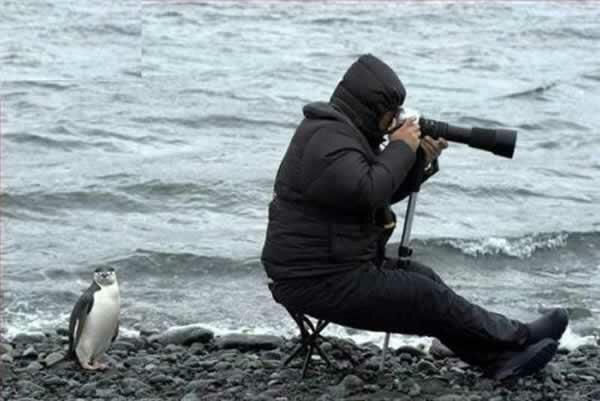 Cursos de fotografía en Pilar