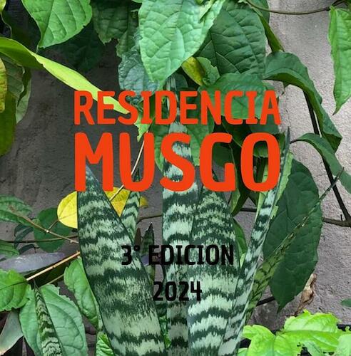Residencia Musgo