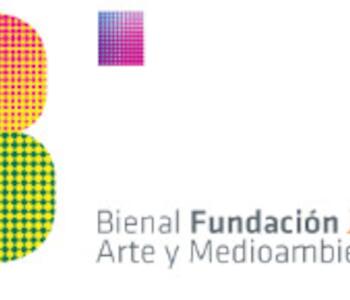 Bienal Fundación MEDIFE Arte y Medioambiente. Ahora Rosario!