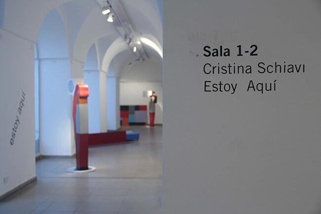 Cristina Schiavi, un llamado desesperado