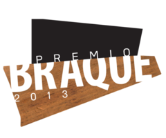 Premio Braque 2013