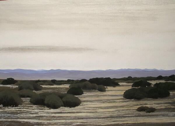 Colres Sanjuaninos.Mixta sobre tela   100 x 140cm.       2011