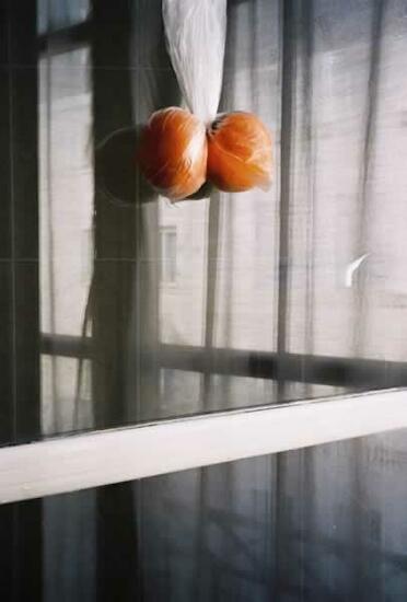 Max Farago