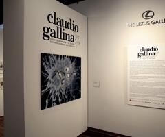 Claudio Gallina y el Teatro de la memoria                                                  