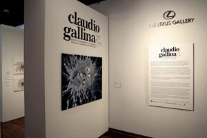 Claudio Gallina y el Teatro de la memoria                                                  