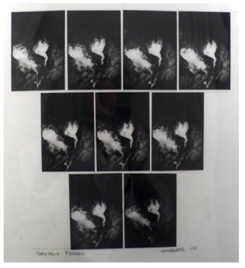 Leandro Katz,Torch Falls (small 9-print study)