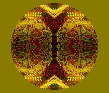 Floki Gauvry  - Gráfica Digital