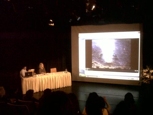 Ana Mendieta por Julia Herzberg