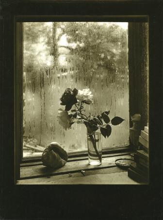 Josef Sudek.La última rosa