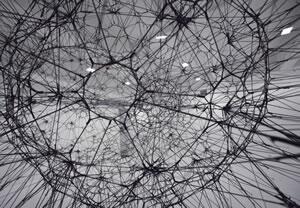 Tomas Saraceno