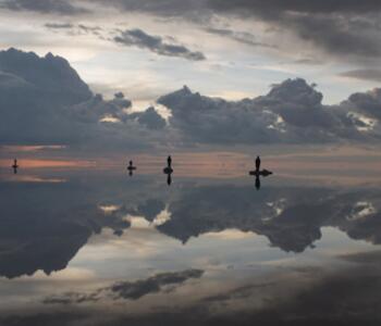 El arte como reflejo