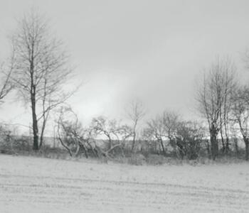 De blanco, negro y gris en Arte x Arte