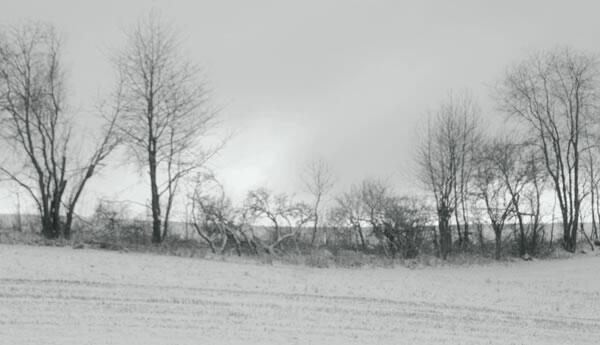 Alejandra Mastro Serie Gris sobre gris