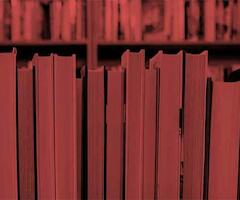 Concurso de letras 2026 del Fondo Nacional de las Artes