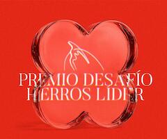 Premio Desafío “Hierros Líder” de la Bienal del Chaco