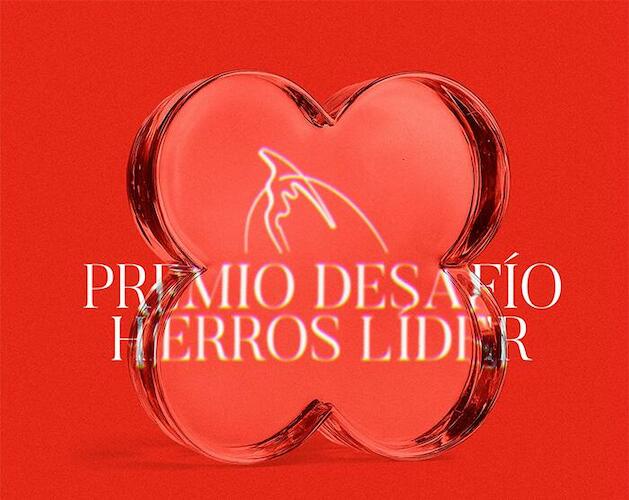 Premio Desafío “Hierros Líder” de la Bienal del Chaco