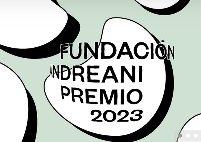 Premio Fundación Andreani