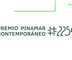 Premio Pinamar Contemporáneo #2254