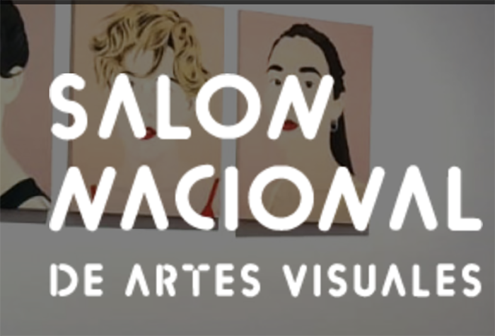 Premio Salón Nacional de Artes Visuales