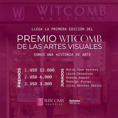 Premio Witcomb de las artes visuales. 1era edición