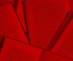 Programa +300Km del Fondo Nacional de las Artes  y la Feria de Editores