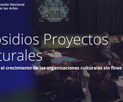 Subsidios Proyectos Culturales del FNA