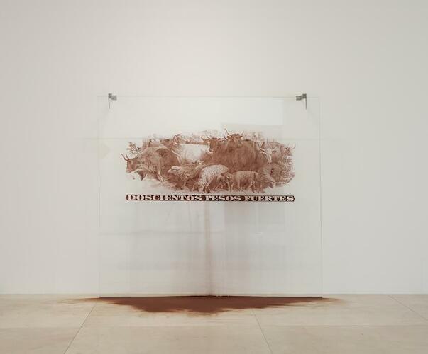 200 pesos fuertes, de la serie Las marcas del dinero, 2011,Crédito fotográfico: Alejandro Almaráz