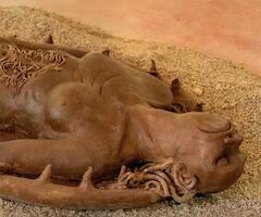 Adriana Bustos, Eva Grinstein