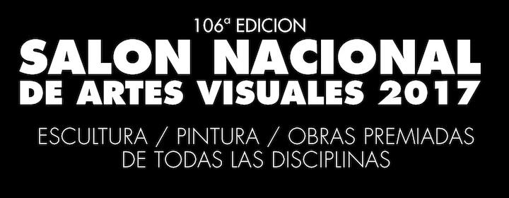  106ª Salón Nacional de Artes Visuales 2017