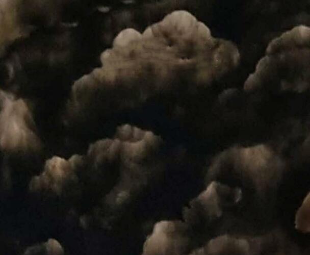 Detalle de obra de Pablo Butteri
