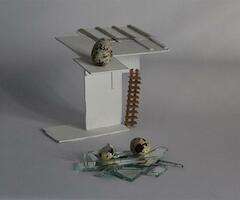 Cecilia Paviolo Marcenac, Pascual Palestini 