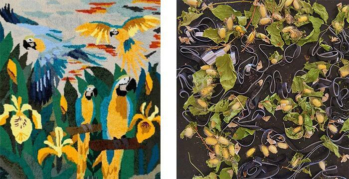 Elia Gasparolo, Joaquín González Bonorino y Surchale (Cecilia Caballero e Isabel Uboldi)