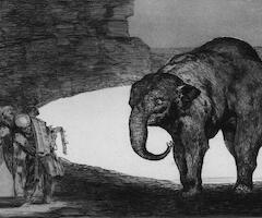 Disparate de bestia (1877), aguafuerte, aguatinta, punta seca y bruñidor. Col. privada