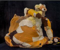 Gala Altamare, Eugenia Braconi, Mara Caffarone, Yuyo Gardiol, Carla Grunauer, Delfina Liderjover