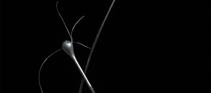 Ginevra Landini, Emilio Renart