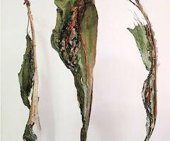 Intimidades en expansión