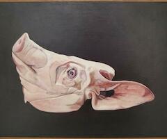Cabeza de cerdo, óleo sobre madera 9 3/8 x 13 in. (24 x 33 cm), 2023