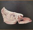 Cabeza de cerdo, óleo sobre madera 9 3/8 x 13 in. (24 x 33 cm), 2023