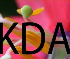 KDA Bravard