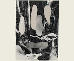 Manuel A. Fernández