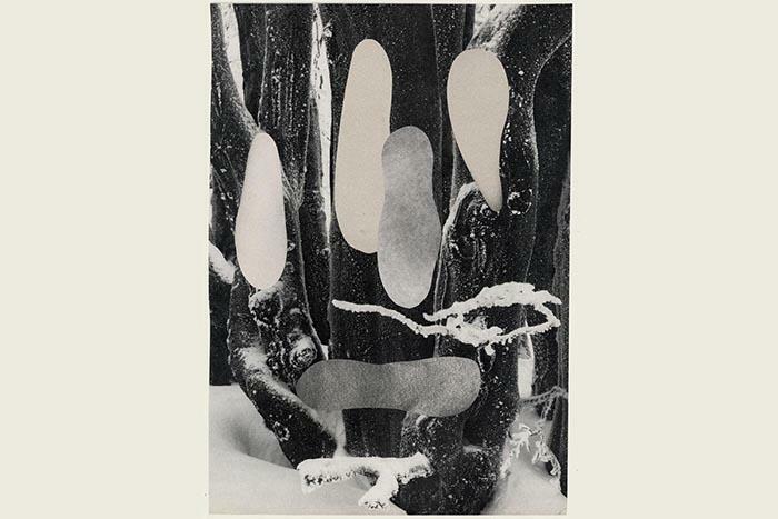 Manuel A. Fernández