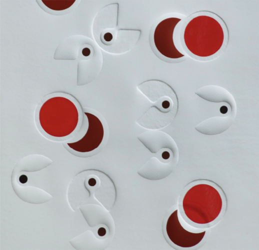 María Suardi. Detalle