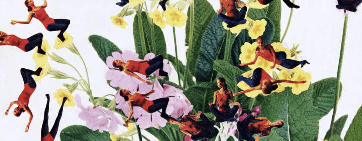 Martha Rosler