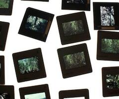 Naturaleza arquitecta