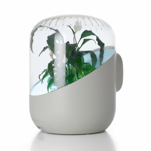 Andrea indoor air purifier