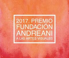 Premio Fundación Andreani a las Artes Visuales 2017