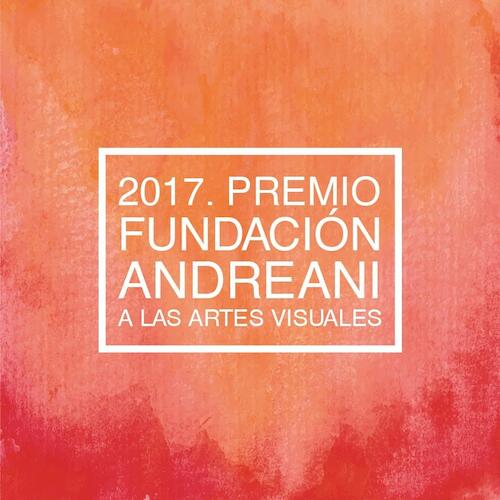 Premio Fundación Andreani a las Artes Visuales 2017