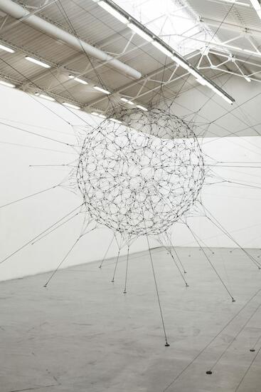 Biosphere,2017